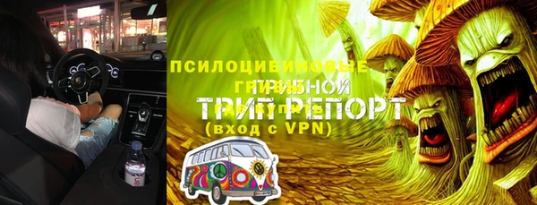 МДПВ Алзамай