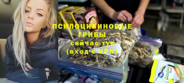 прущий лед Алексин